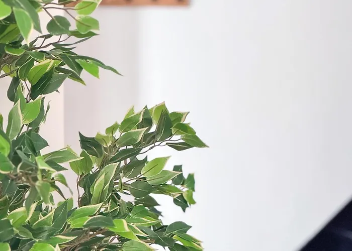 Tranquiloue - Milena - 5min Du Puydufou Les Épesses