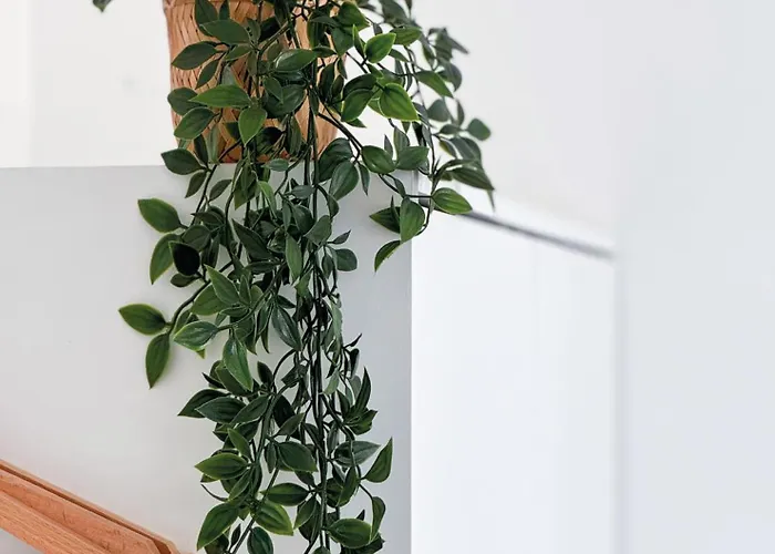 Tranquiloue - Milena - 5min Du Puydufou * Les Épesses